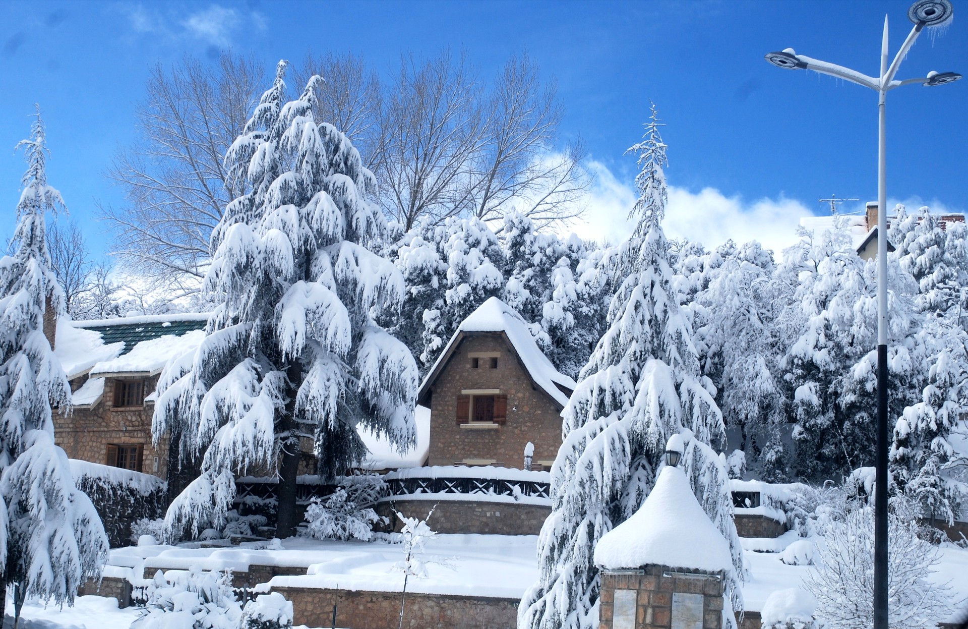 Ifrane