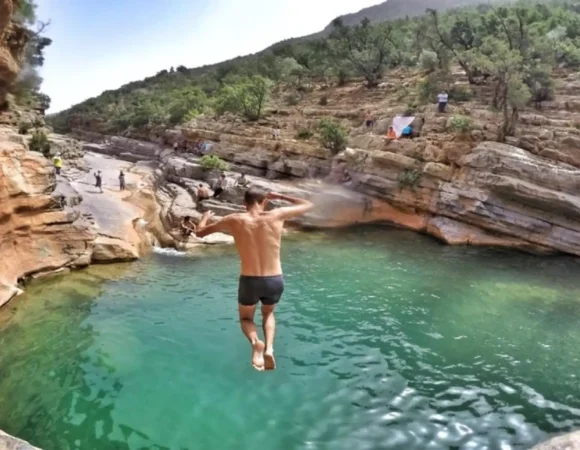 Agadir or Taghazout: Paradise Valley with Lunch & Transfers