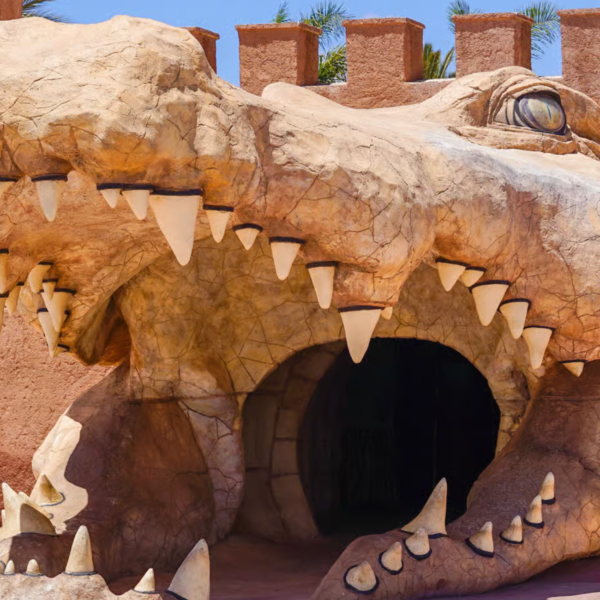 Agadir Crocoparc Entry Ticket with Transfers, Guide & Tea – Agadir Excursions