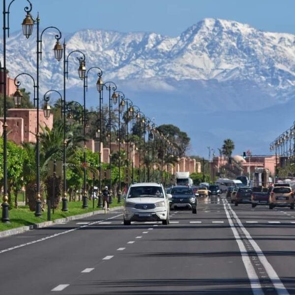 Taroudant and Tiout day trip