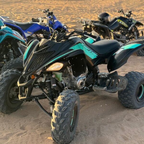 quad biking Agadir 3