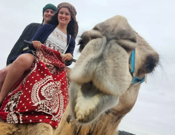 From Agadir: Camel Ride and Flamingo Trek