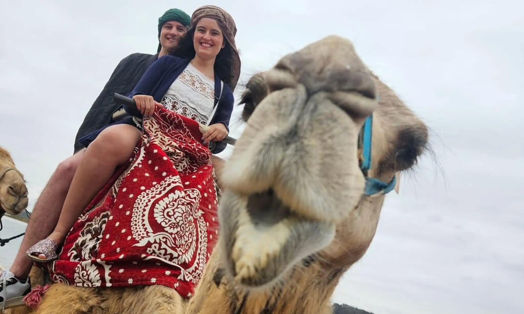 From Agadir: Camel Ride and Flamingo Trek
