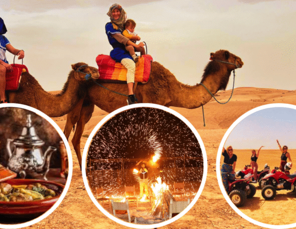 EXPERIENCE TOUR – The Wild South: Magnificent Landscapes