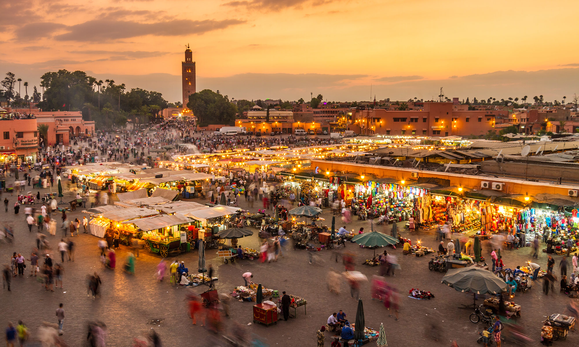 Excursion Marrakech – Best Desert, Camel & Day Trips from the City