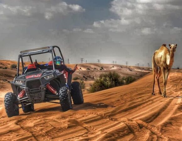 Why Choose a Desert Adventure Near Agadir?