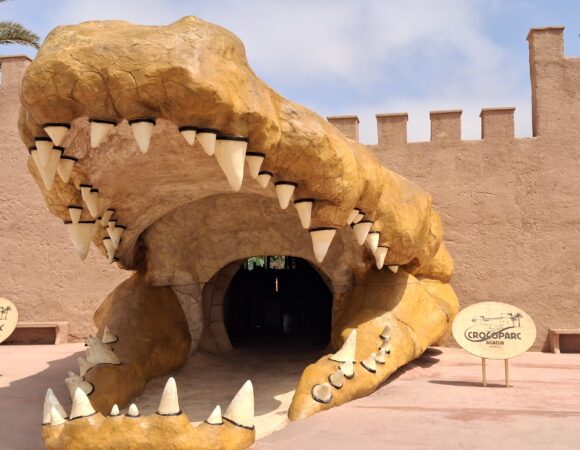 Crocoparc Agadir Tickets: 1 Unforgettable Visit to Morocco’s Crocodile Park
