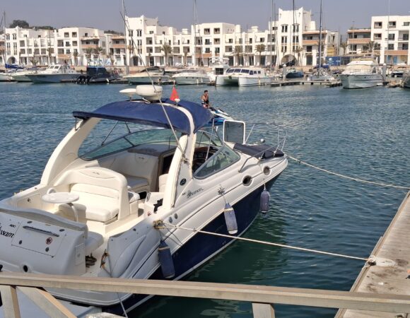 Agadir Boat Trip: 1 Amazing Atlantic Cruise, Dolphins & Swimming Experience