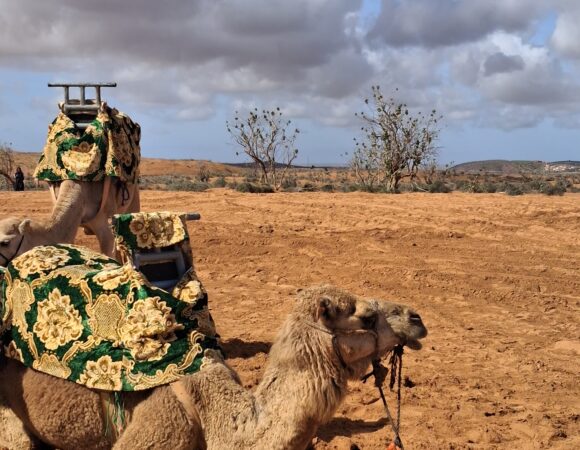 Sahara Desert Excursions from Agadir: 3 Unforgettable Desert Tours & Camel Rides