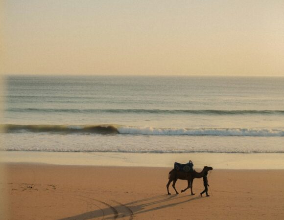 Camel Riding Agadir: 1 Amazing Beach & Desert Camel Ride Experience