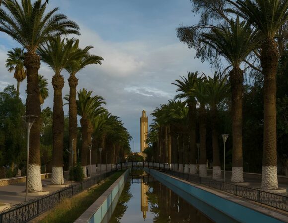 Taroudant and Tiout day trip