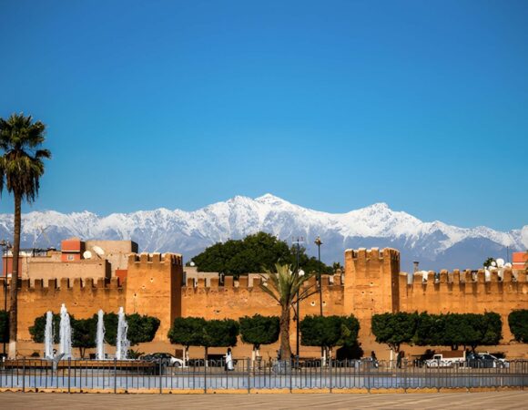 Taroudant and Tiout Day Trip from Agadir: 1 Amazing Oasis & Little Marrakech Experience