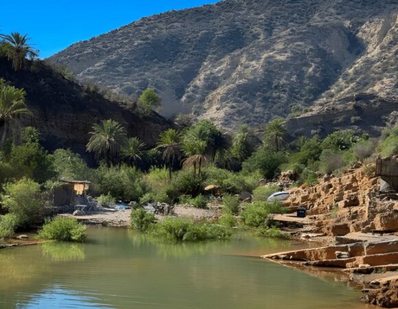 Paradise Valley Tour from Agadir: 1 Amazing Swimming & Atlas Mountains Adventure
