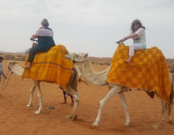 Camel riding Agadir 3