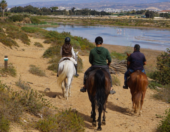 Horse riding Agadir 1