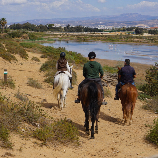 Horse riding Agadir 1