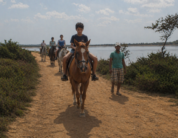 Horse Riding Agadir: 1 Amazing Forest Adventure Experience