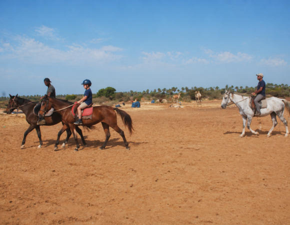 Horse riding Agadir 2