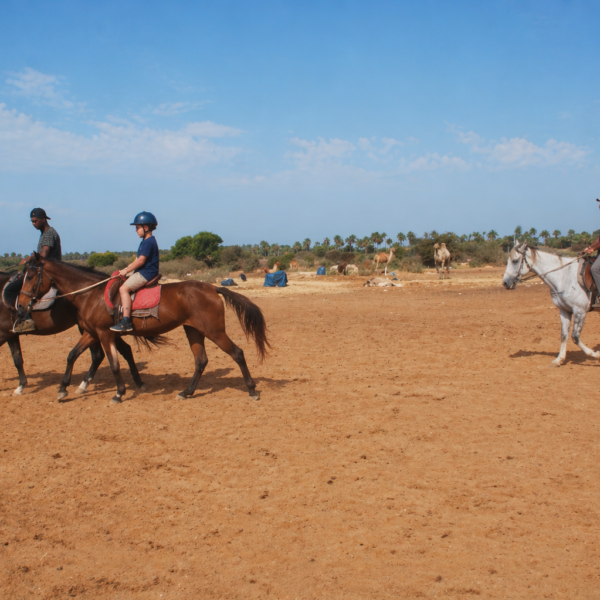 Horse riding Agadir 2