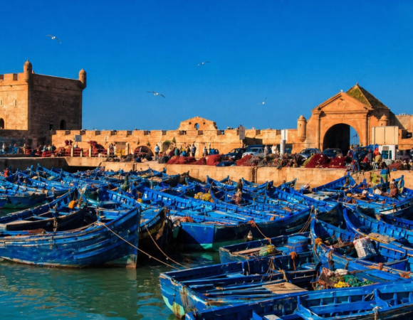 Essaouira Day Trip from Agadir: 1 Amazing Coastal City Experience