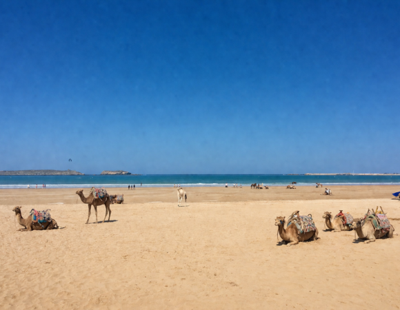 Essaouira day trip from Agadir 3