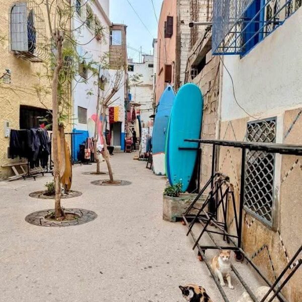 Excursion Taghazout 6