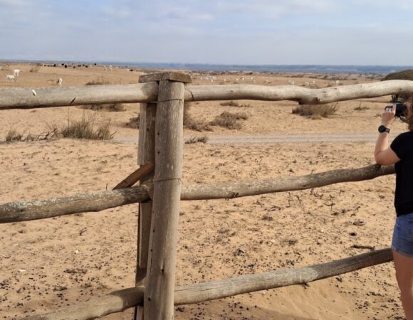 Souss Massa National Park 5
