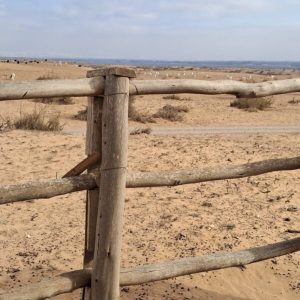 Souss Massa National Park 5