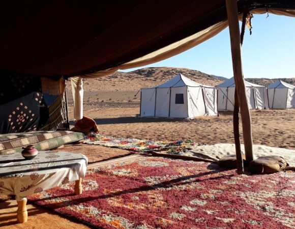 Small Desert and National Park Agadir: 1 Amazing Nature & Wildlife Tour