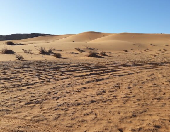Sahara desert excursions