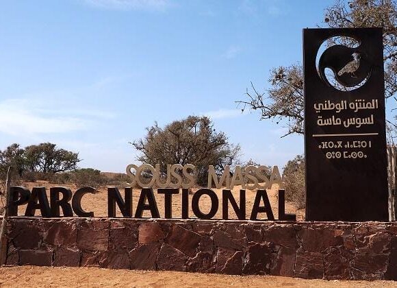 Souss Massa National Park Adventure from Agadir: Discover Wildlife, Nature & Hidden Landscapes