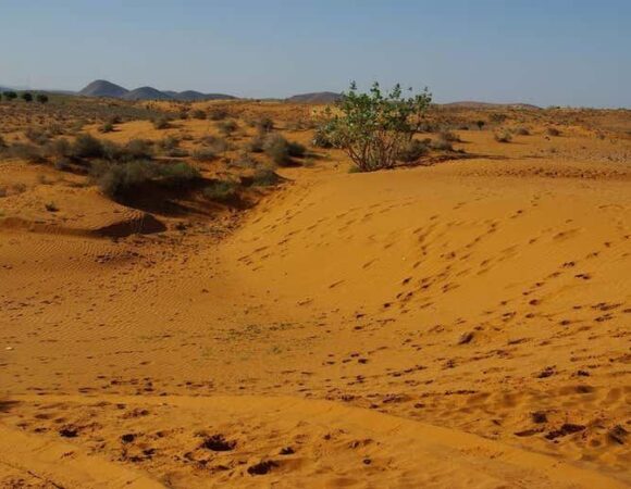 Small Desert & Souss Massa National Park Adventure from Agadir