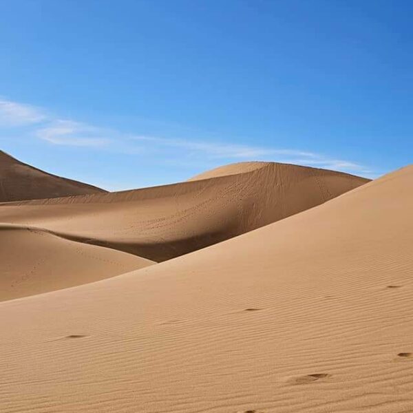 2 Day Sahara Tour from Agadir: 1 Unforgettable Elborj Desert Camp Adventure
