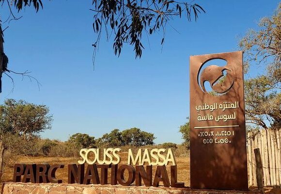 Souss Massa National Park: 1 Amazing Wildlife Tour from Agadir