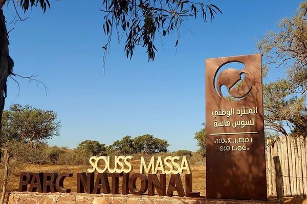Souss Massa National Park: 1 Amazing Wildlife Tour from Agadir
