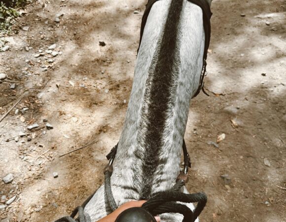 Horse riding Agadir 3