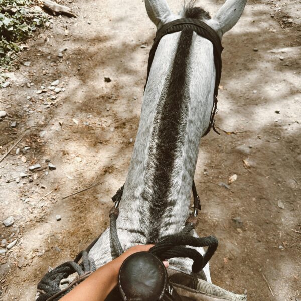 Horse riding Agadir 3