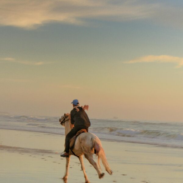 Horse riding Agadir 1